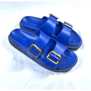 Banana Republic Womens Cobalt Blue Double Buckle Slide Sandals Size 8 593957-03